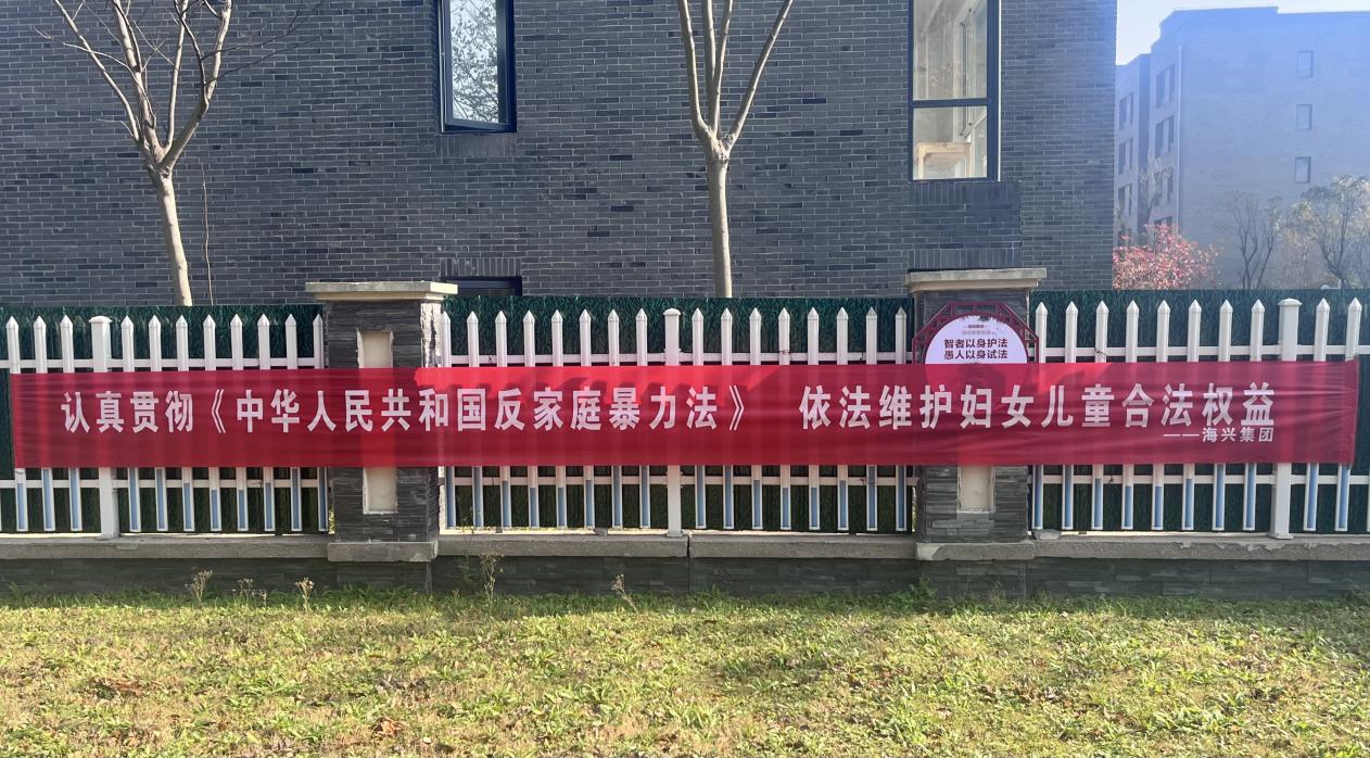 法務(wù)風(fēng)控部開(kāi)展國(guó)際反家庭暴力日普法宣傳活動(dòng).jpg